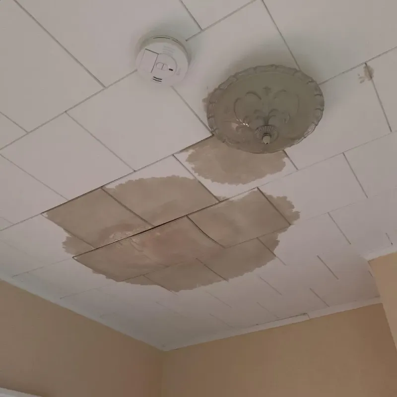Ceiling Water Damage Repair in Elma Center, NY